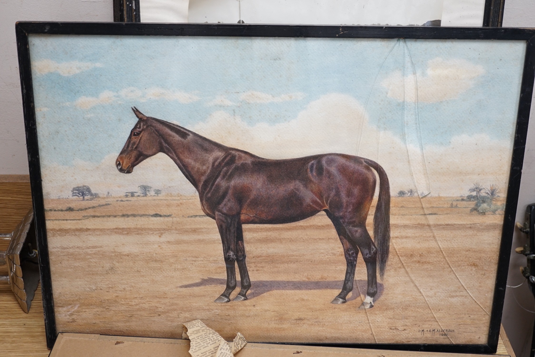 D M & E M Alderson, pair of watercolours, Portraits of racehorses c.1943/48 raced at Calcutta, together with a group of related photographs and ephemera, signed and dated, 38 x 52cm